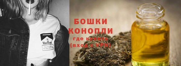 сатива Приозерск