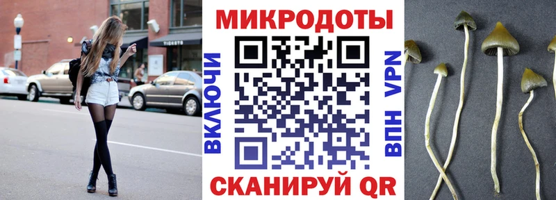 Псилоцибиновые грибы мухоморы  магазин    Тверь 